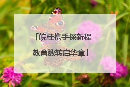 皖桂携手探新程 教育数转启华章