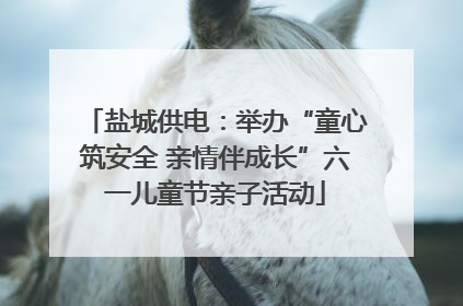 盐城供电：举办“童心筑安全 亲情伴成长”六一儿童节亲子活动