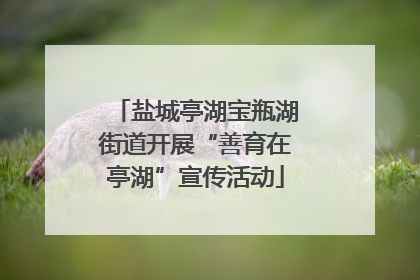 盐城亭湖宝瓶湖街道开展“善育在亭湖”宣传活动