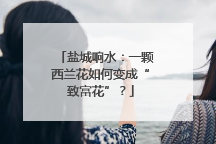 盐城响水：一颗西兰花如何变成“致富花”？
