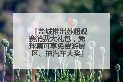 盐城推出苏超观赛消费大礼包，凭球票可享免费游景区、抽汽车大奖