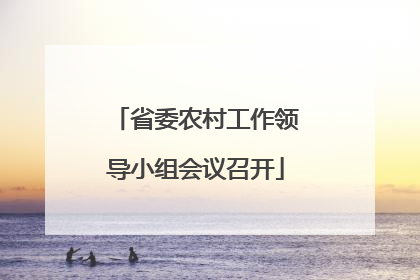 省委农村工作领导小组会议召开