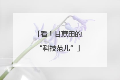看！甘蔗田的“科技范儿”