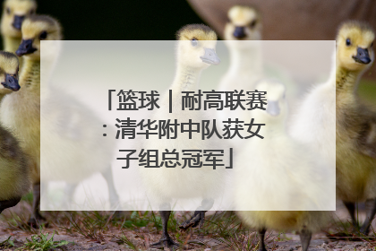 篮球|耐高联赛:清华附中队获女子组总冠军