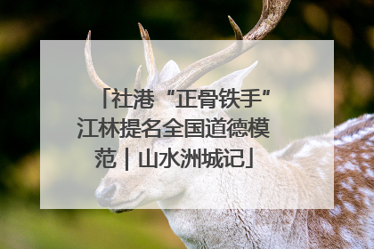 社港“正骨铁手”江林提名全国道德模范｜山水洲城记