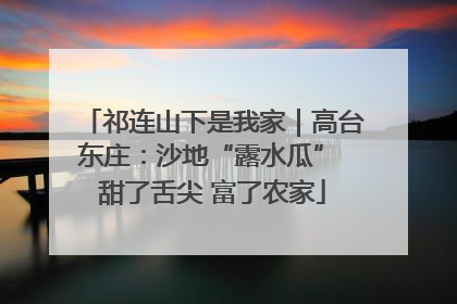 祁连山下是我家｜高台东庄：沙地“露水瓜” 甜了舌尖 富了农家