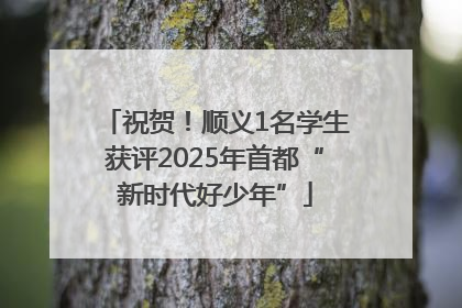 祝贺！顺义1名学生获评2025年首都“新时代好少年”