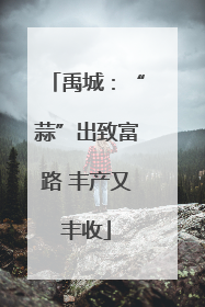 禹城：“蒜”出致富路 丰产又丰收