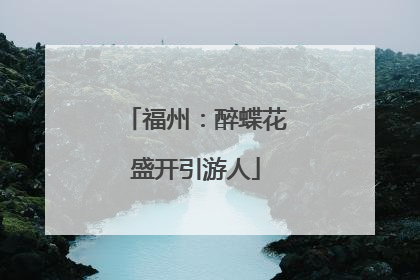 福州：醉蝶花盛开引游人