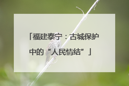 福建泰宁：古城保护中的“人民情结”
