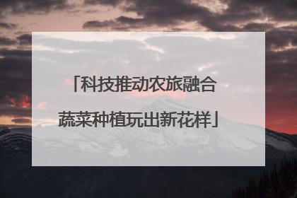 科技推动农旅融合 蔬菜种植玩出新花样