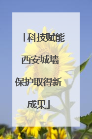 科技赋能 西安城墙保护取得新成果