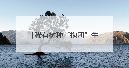 稀有树种“抱团”生长！沈阳成果在Nature杂志发表