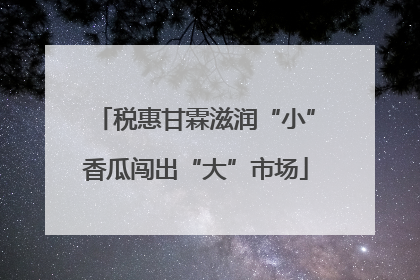 税惠甘霖滋润“小”香瓜闯出“大”市场