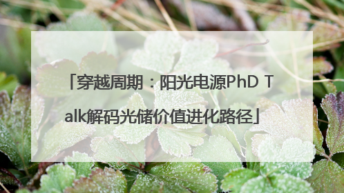 穿越周期：阳光电源PhD Talk解码光储价值进化路径