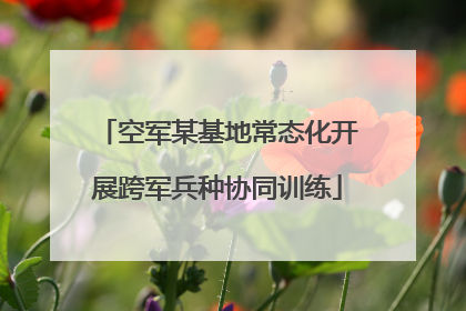 空军某基地常态化开展跨军兵种协同训练