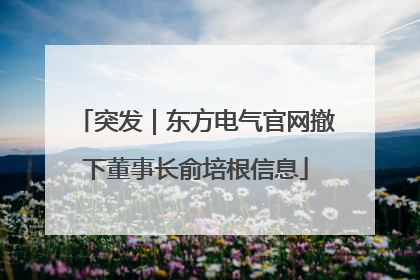 突发｜东方电气官网撤下董事长俞培根信息