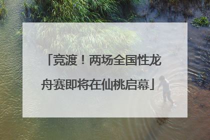竞渡！两场全国性龙舟赛即将在仙桃启幕