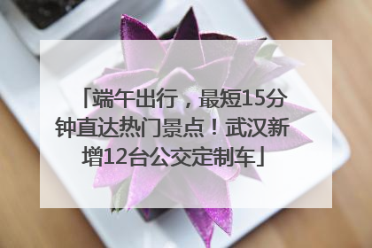端午出行，最短15分钟直达热门景点！武汉新增12台公交定制车