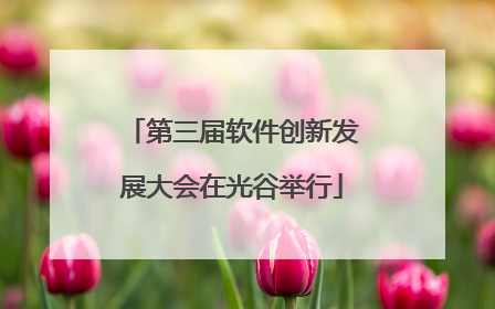 第三届软件创新发展大会在光谷举行