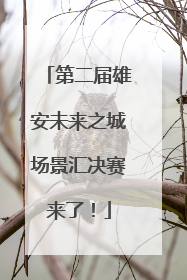 第二届雄安未来之城场景汇决赛来了！