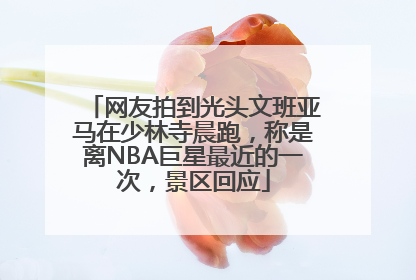网友拍到光头文班亚马在少林寺晨跑，称是离NBA巨星最近的一次，景区回应
