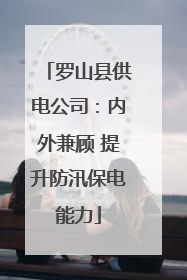 罗山县供电公司：内外兼顾 提升防汛保电能力