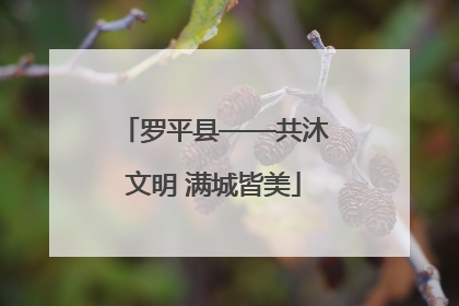 罗平县——共沐文明 满城皆美