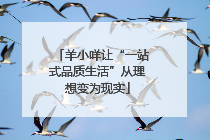 羊小咩让“一站式品质生活”从理想变为现实