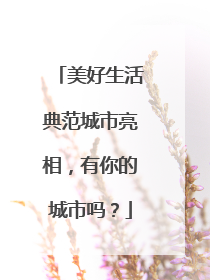 美好生活典范城市亮相，有你的城市吗？