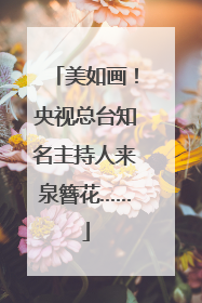 美如画！央视总台知名主持人来泉簪花……