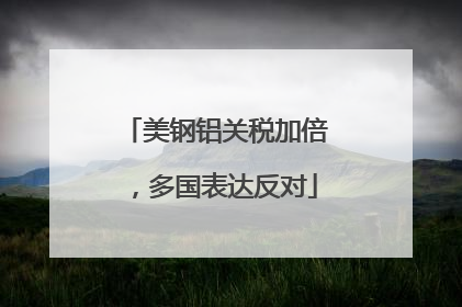 美钢铝关税加倍，多国表达反对
