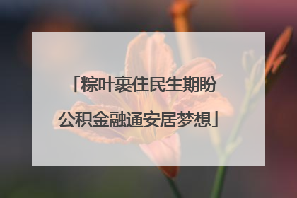 粽叶裹住民生期盼 公积金融通安居梦想