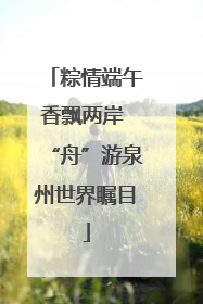 粽情端午香飘两岸 “舟”游泉州世界瞩目