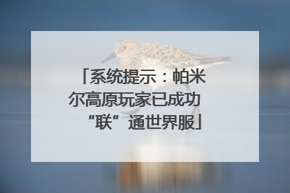 系统提示：帕米尔高原玩家已成功“联”通世界服