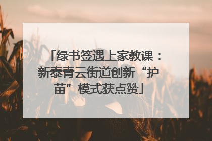 绿书签遇上家教课：新泰青云街道创新“护苗”模式获点赞