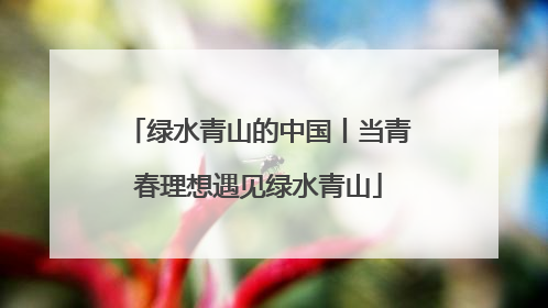 绿水青山的中国丨当青春理想遇见绿水青山