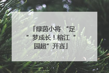 绿茵小将 “足”梦成长！榕江“园超”开赛