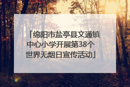绵阳市盐亭县文通镇中心小学开展第38个世界无烟日宣传活动