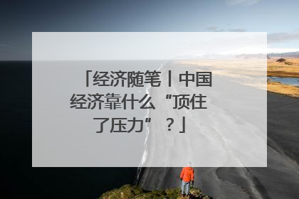 经济随笔丨中国经济靠什么“顶住了压力”？