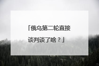 俄乌第二轮直接谈判谈了啥？