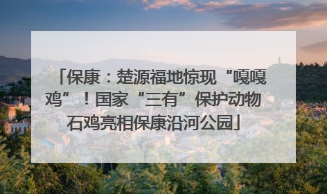 保康：楚源福地惊现“嘎嘎鸡”！国家“三有”保护动物石鸡亮相保康沿河公园