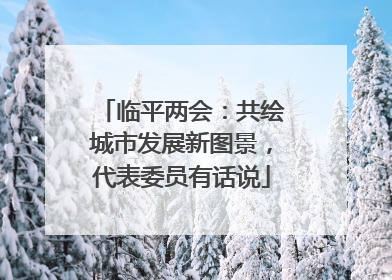 临平两会：共绘城市发展新图景，代表委员有话说