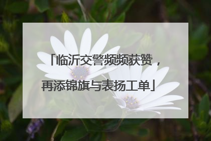 临沂交警频频获赞，再添锦旗与表扬工单