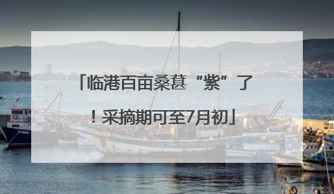 临港百亩桑葚“紫”了！采摘期可至7月初