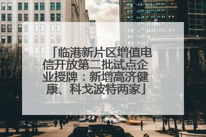临港新片区增值电信开放第二批试点企业授牌：新增高济健康、科戈波特两家
