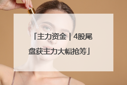主力资金｜4股尾盘获主力大幅抢筹