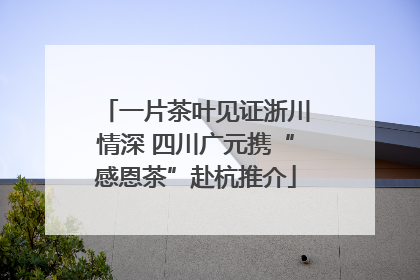 一片茶叶见证浙川情深 四川广元携“感恩茶”赴杭推介