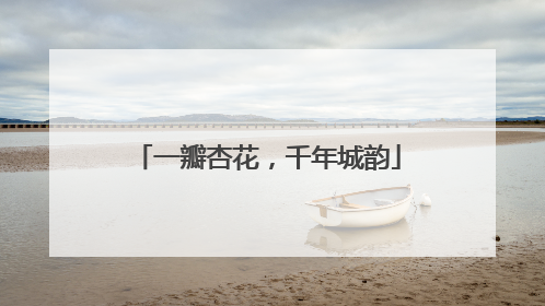 一瓣杏花，千年城韵