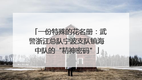 一份特殊的花名册：武警浙江总队宁波支队镇海中队的“精神密码”